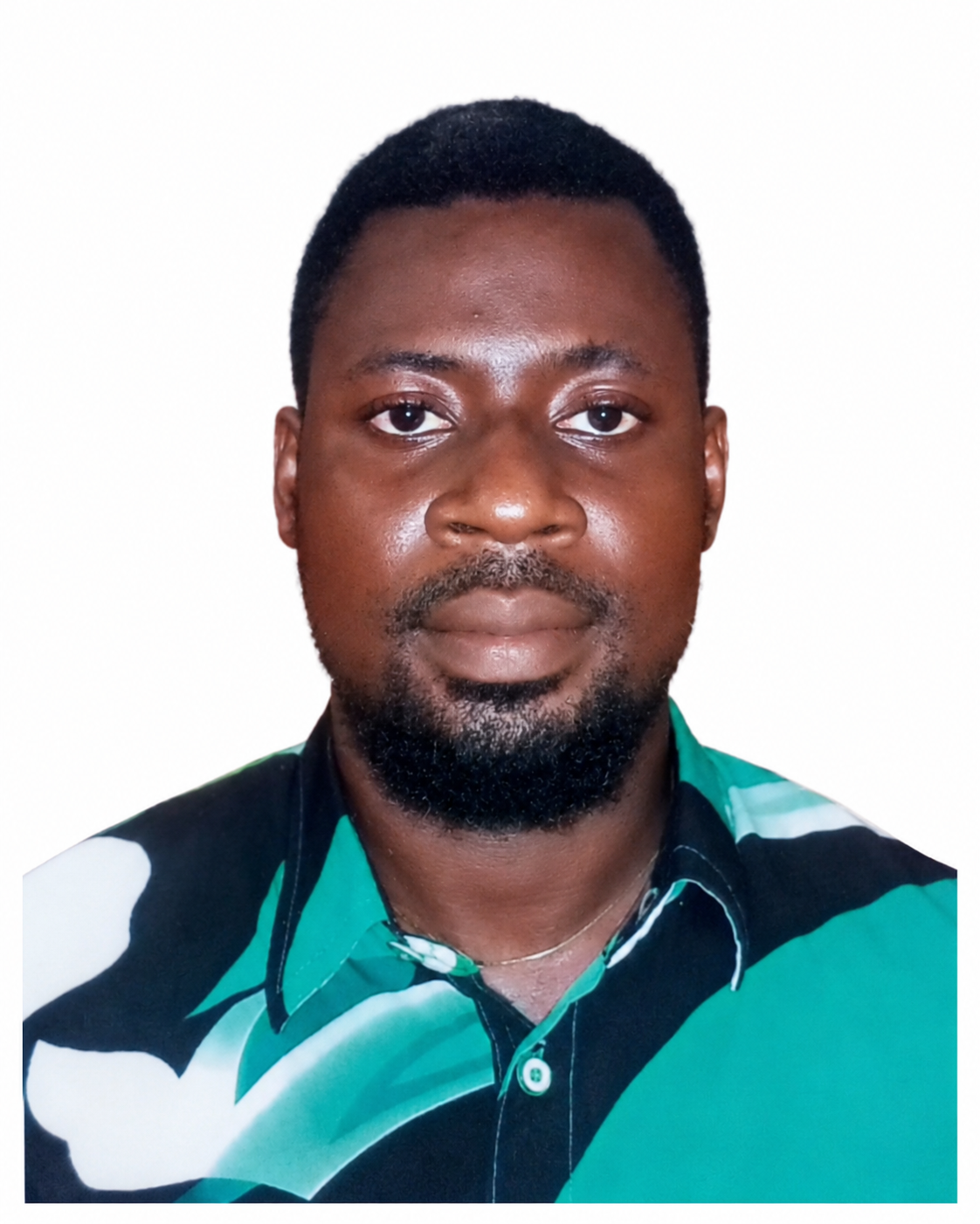 Johnbull Ogumike